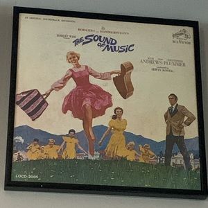 LP Vinyl Albums in their original jackets. Container Store frames included.